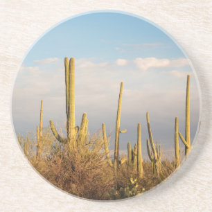 Posavasos De Arenisca EE. UU., Arizona, Parque Nacional Saguaro, Saguaro