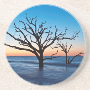 Posavasos De Arenisca EE. UU., Carolina del Sur, Isla Edisto, Bahía Bota