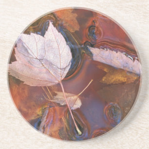 Posavasos De Arenisca EE. UU., Nordeste, Hojas de otoño en charco con