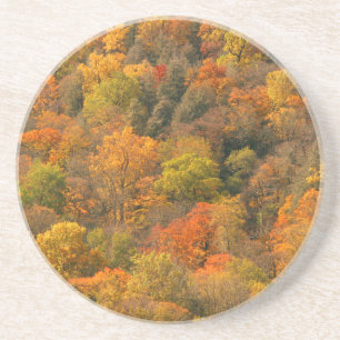 Posavasos De Arenisca EE. UU., Tennessee. Follaje de otoño 2