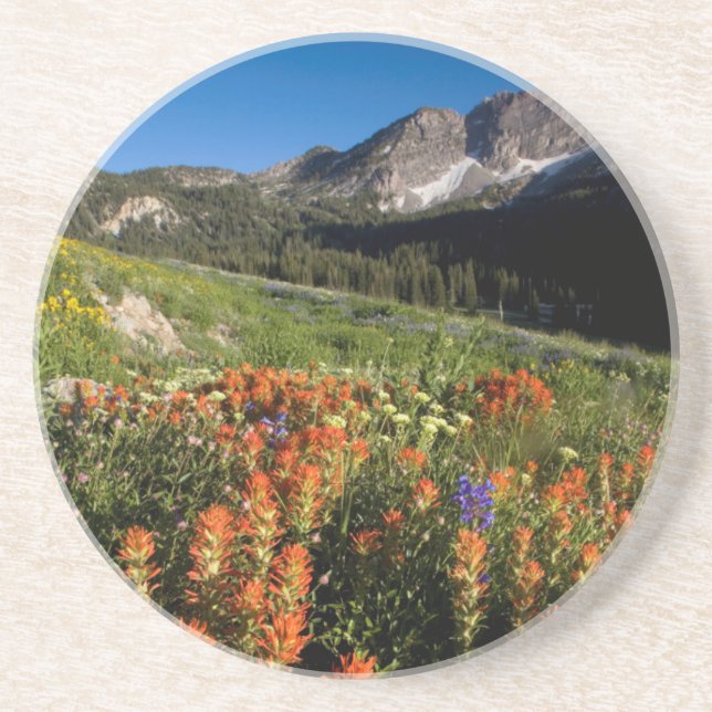 Posavasos De Arenisca EE. UU., Utah, Bosque Nacional Uinta-Wasatch-Cache (Frente)
