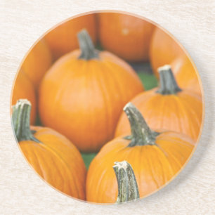 Posavasos De Arenisca EE.UU., Virginia Occidental, Charleston. Capitolio