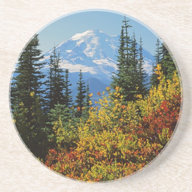Posavasos De Arenisca EE. UU., Washington, Parque Nacional Mt. Rainier 2 (Frente)