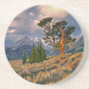Posavasos De Arenisca EE. UU., Wyoming, Parque Nacional Grand Teton. El