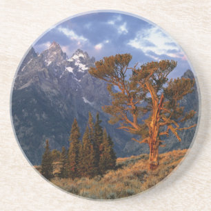 Posavasos De Arenisca EE. UU., Wyoming, Parque Nacional Grand Teton. Un