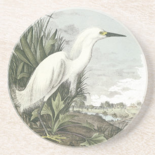 Posavasos De Arenisca Egret nevado, Juan Audubon