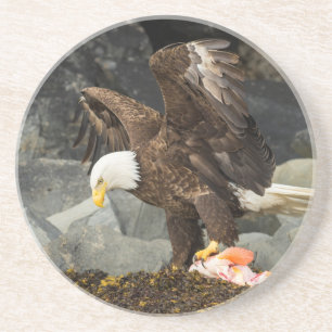 Posavasos De Arenisca El águila calva suprema
