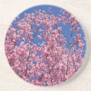 Posavasos De Arenisca El cerezo Sakura florece en el azul