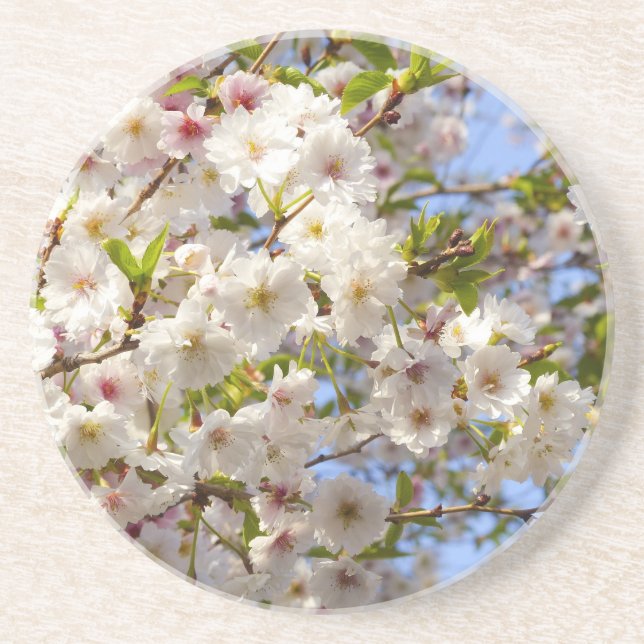 Posavasos De Arenisca El cerezo Sakura florece en Japón Kyoto (Frente)