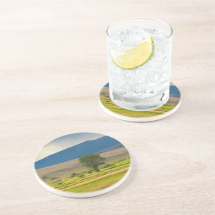 Posavasos De Arenisca El condado de Granite Montana
