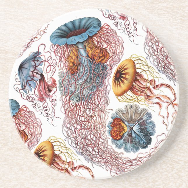 Posavasos De Arenisca El disco Medusae de Ernst Haeckel (Frente)