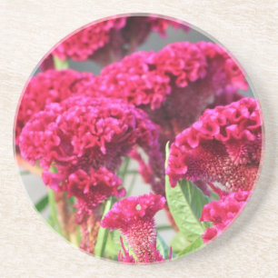 Posavasos De Arenisca El fucsia florece el práctico de costa