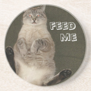 Posavasos De Arenisca El gato "FEED ME"