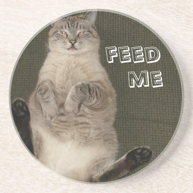 Posavasos De Arenisca El gato "FEED ME" (Frente)