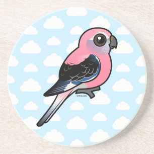 Posavasos De Arenisca El Parakeet de Bourke