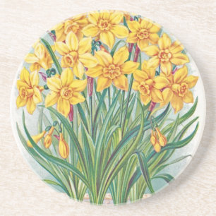Posavasos De Arenisca el rsvp de la fecha florece el vintage del