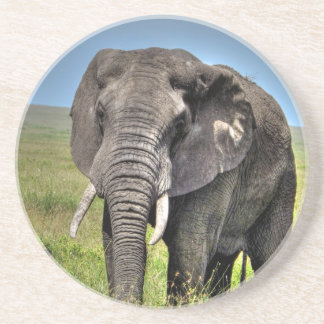 Posavasos De Arenisca Elefante de Barb Craven_HDR Print.jpg