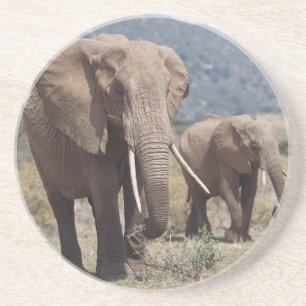 Posavasos De Arenisca Elefante madre caminando con cría de elefante