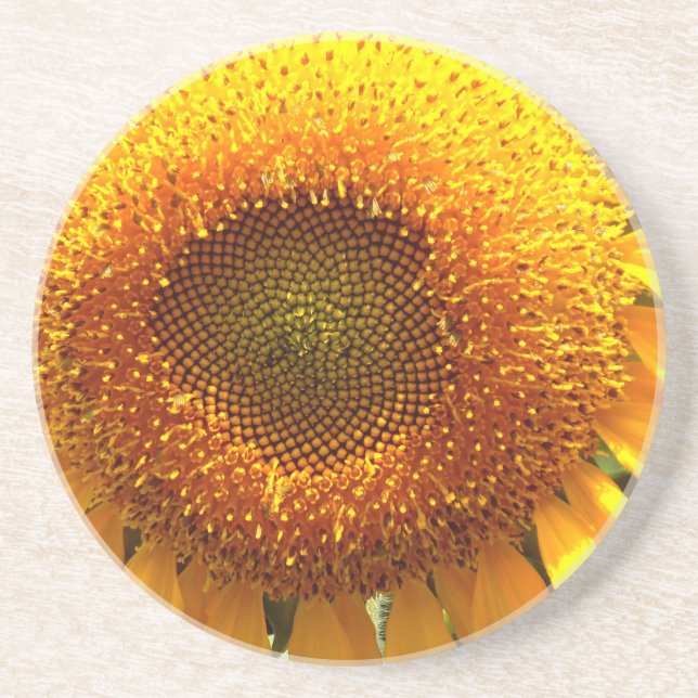 Posavasos De Arenisca Elegante foto de girasol (Frente)