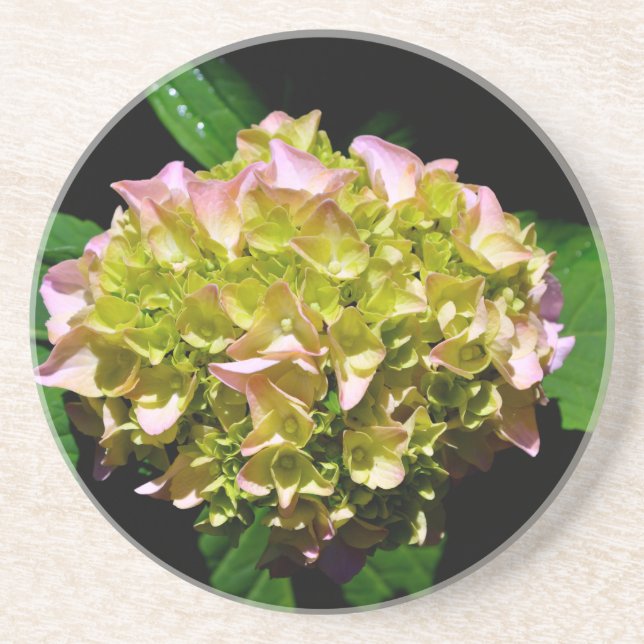 Posavasos De Arenisca Elegante hidrangea floral verde rosa verde suave (Frente)