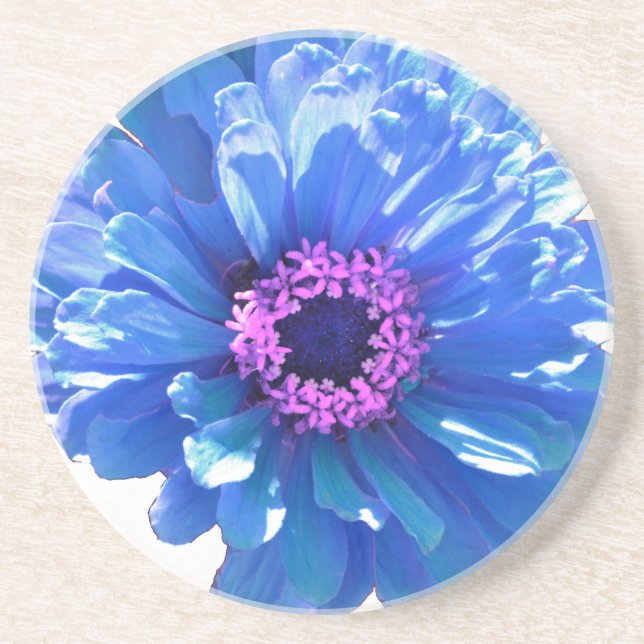 Posavasos De Arenisca Elegante margarita azul floral (Frente)