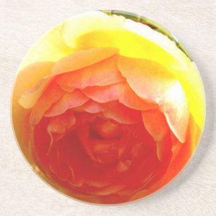 Posavasos De Arenisca Elegante rosa floral de albaricoque rojo de durazn