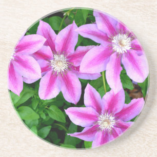Posavasos De Arenisca Elegante rosa floral verde botánico