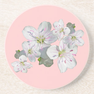 Posavasos De Arenisca Elementos de coordinación de flores silvestres de