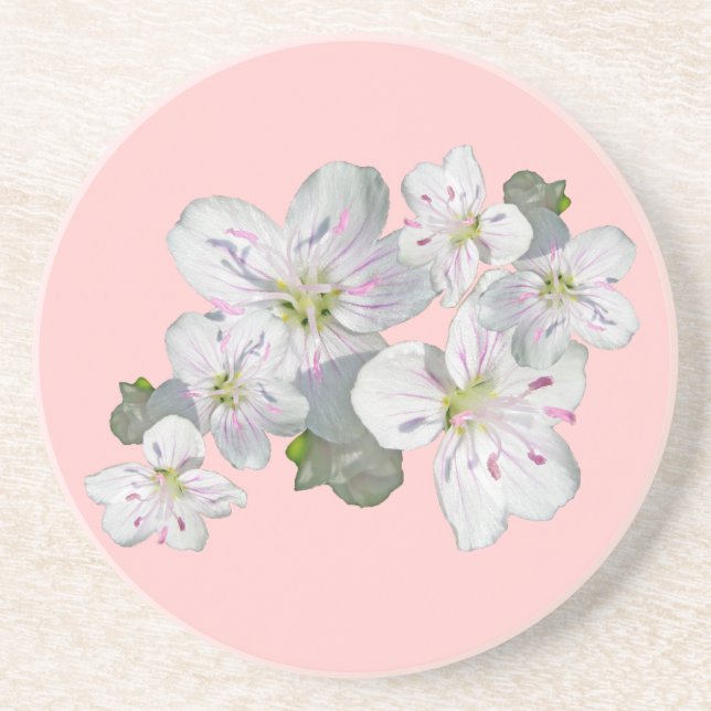 Posavasos De Arenisca Elementos de coordinación de flores silvestres de  (Frente)