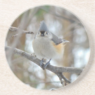 Posavasos De Arenisca Elementos de Titmouse (Baeolophus bicolor) con inc
