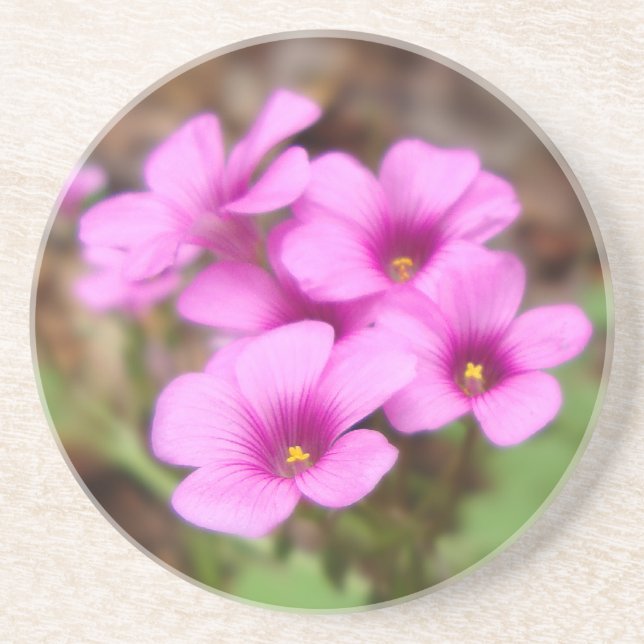 Posavasos De Arenisca En Mi Pascua De La Puerta (Frente)