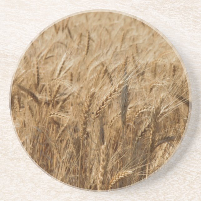 Posavasos De Arenisca Erick, ruta 66 de Oklahoma (Frente)