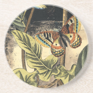 Posavasos De Arenisca Escena de naturaleza oscura de Vision Studio