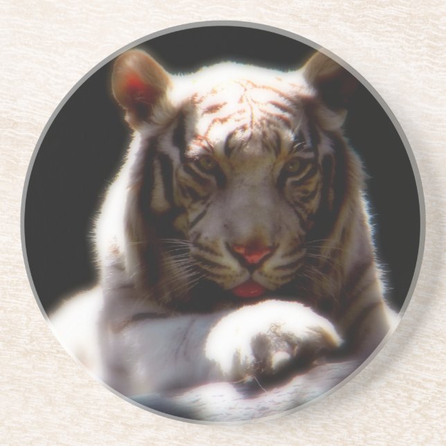 Posavasos De Arenisca Espejo de tigres blancos (Frente)