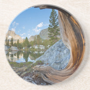 Posavasos De Arenisca Estados Unidos, California, Bosque Nacional Inyo. 