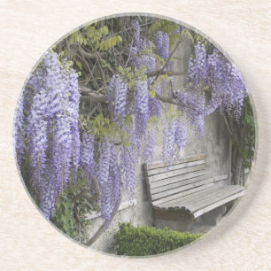 Posavasos De Arenisca Europa, Austria, Salzburgo Stadt, Salzburgo,