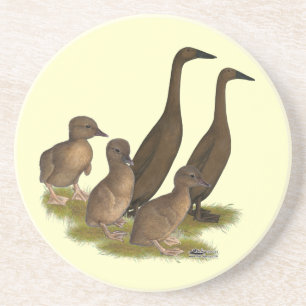 Posavasos De Arenisca Familia de patos corredores de chocolate