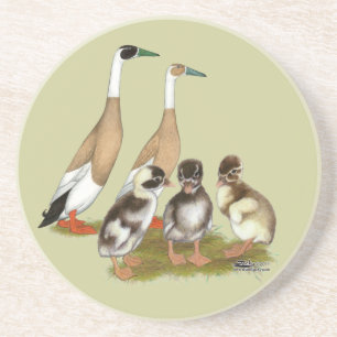 Posavasos De Arenisca Familia de patos corredores jaspeados