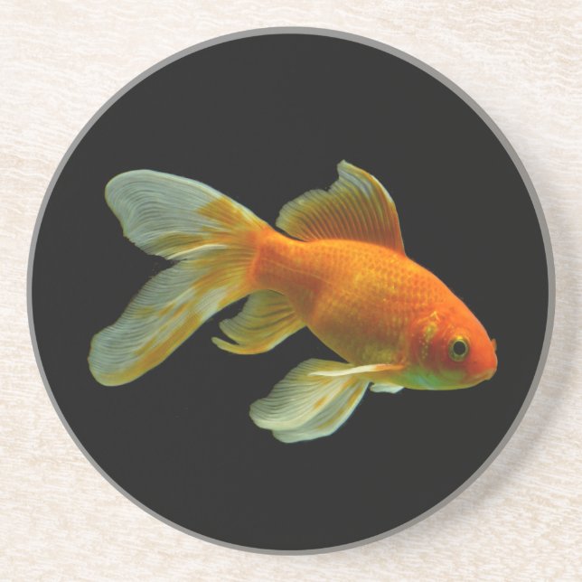 Posavasos De Arenisca Fancy Goldfish Coaster (Frente)