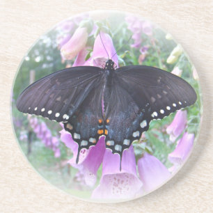 Posavasos De Arenisca Femenino Spicebush Swallowtail Butfly
