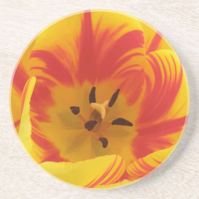 Posavasos De Arenisca Fiery Tulip Coasters (Frente)