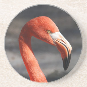 Posavasos De Arenisca Flamingo