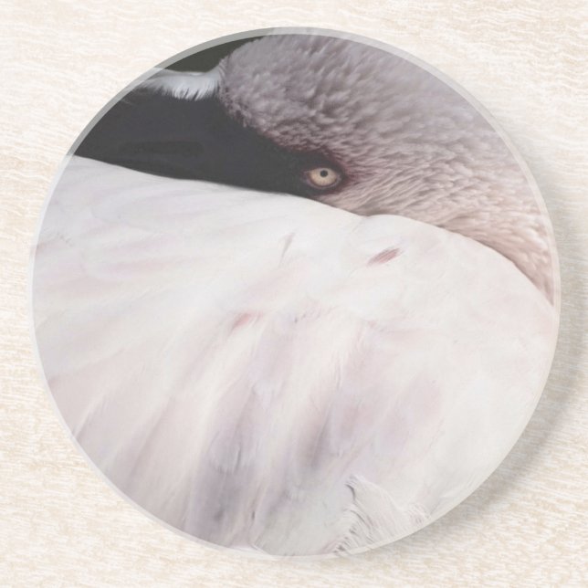 Posavasos De Arenisca Flamingo (Frente)