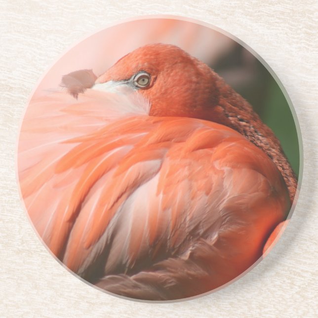 Posavasos De Arenisca Flamingo Coaster (Frente)