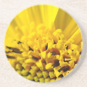 Posavasos De Arenisca Flor amarilla