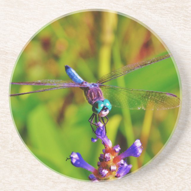 Posavasos De Arenisca Flor arcoiris (Frente)