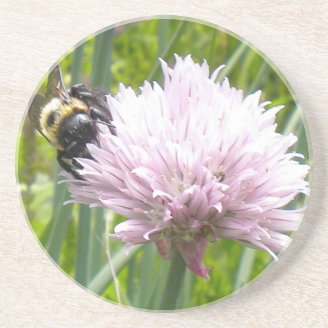 Posavasos De Arenisca Flor de abee y chíve (Frente)