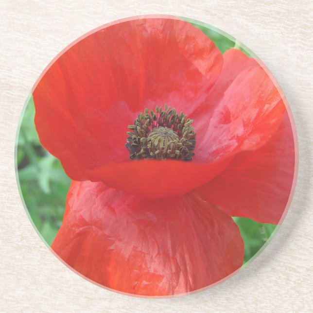Posavasos De Arenisca Flor de amapola roja (Frente)