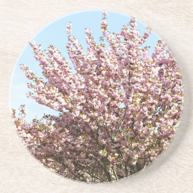 Posavasos De Arenisca Flor de cerezo (Frente)