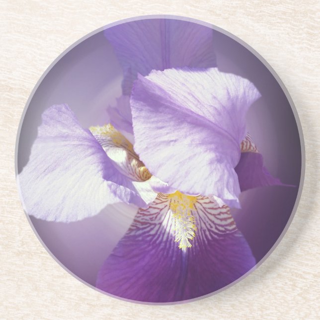 Posavasos De Arenisca flor de iris púrpura (Frente)